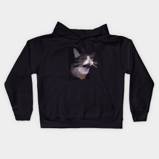 hilarious Crying cat meme Kids Hoodie